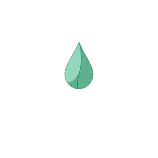Gua Sha Gift